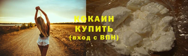 крисы Абдулино