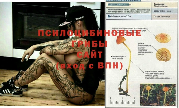 крисы Абдулино