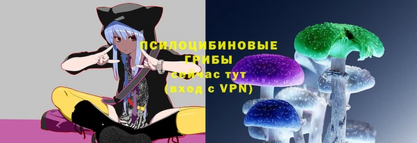 крисы Абдулино