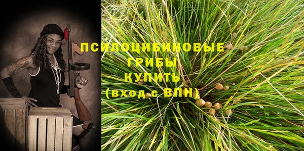 стафф Абинск