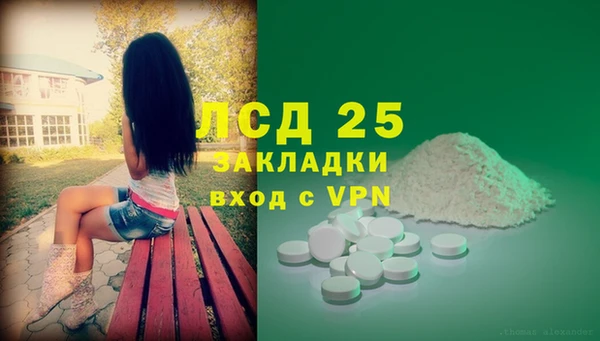 стафф Алексин