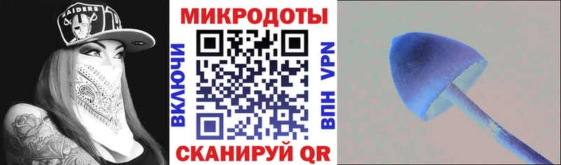 даркнет телеграм  Югорск  Галлюциногенные грибы Cubensis 
